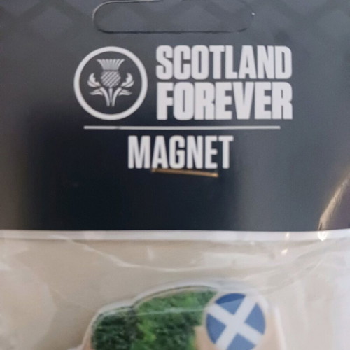 Edinburgh souvenir magnet new