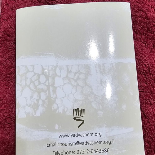 Yad Vashem Memorial Pin new, olive branch symbol
