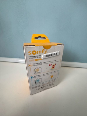 Somfy motion sensor new