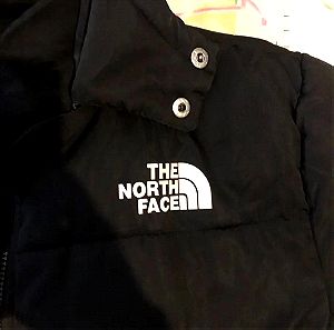ΠΡΟΣΦΟΡΑ The North Face μπουφάν