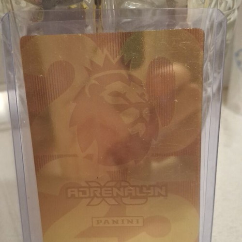 Cole Palmer Golden Baller Panini card 2024