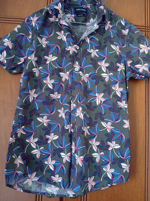 Warren Webber men's shirt size M like new, multicolor