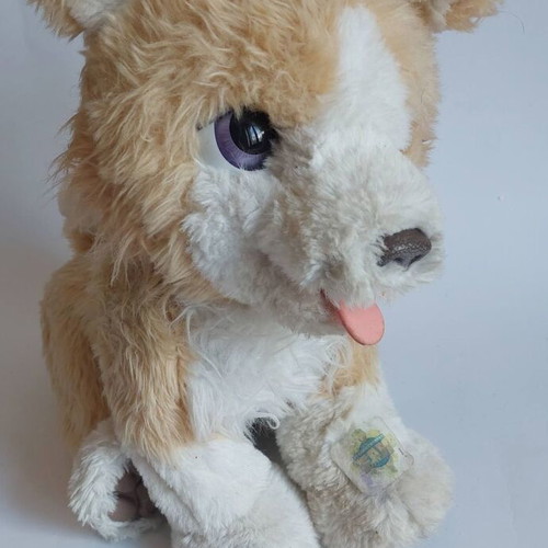 Furreal Friends interactive toy used