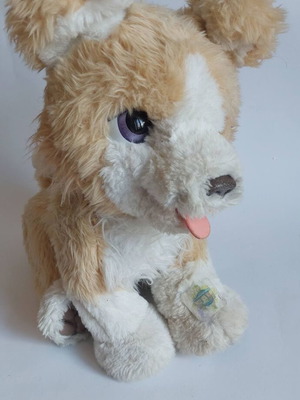 Furreal Friends interactive toy used