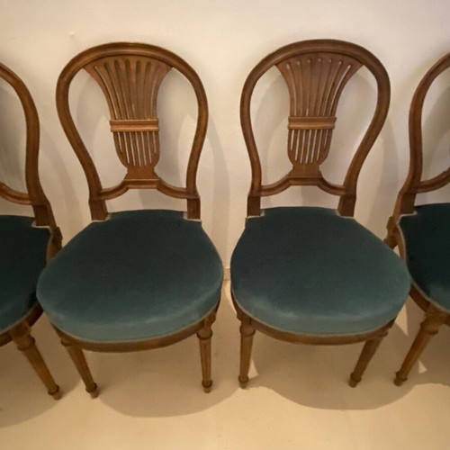 Classic wooden Louis XVI chairs set of 6, like new with velvet seat