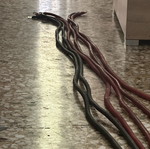 Trf zero cables new