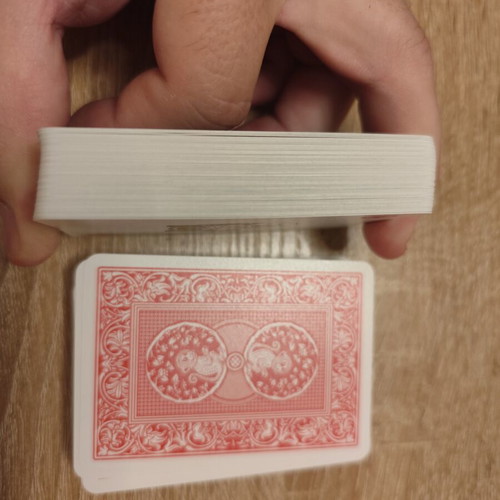 Dal Negro Treviso playing cards set used, red and blue