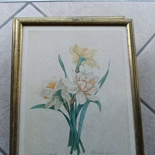 Flower frames set of 8, like new, 24x31.5 cm