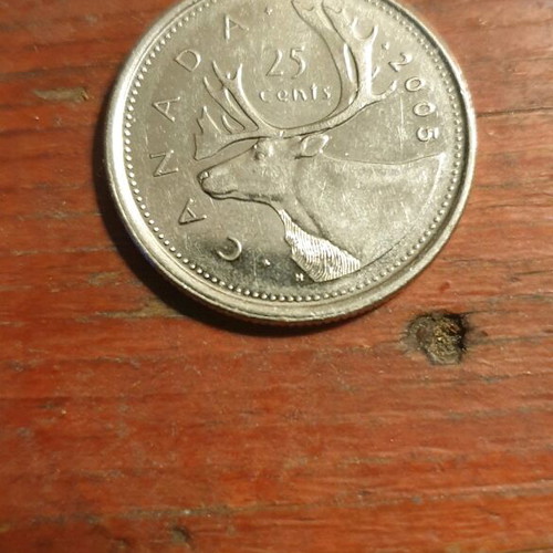 25c Canada 2005 coin new