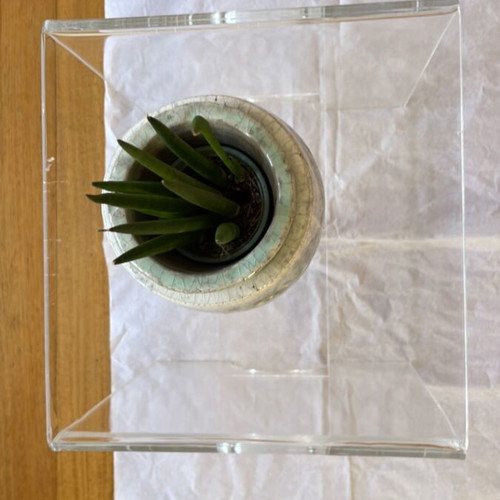Plexi Glass Coffee Table used, versatile and easy to clean