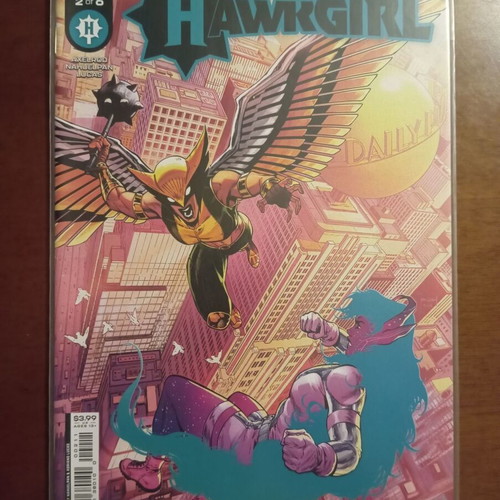 Hawkgirl #2 comic book new condition