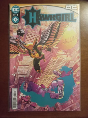 Hawkgirl #2 comic book new condition