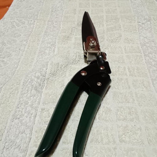Chloe Border Rose Pruning Shears 34cm New