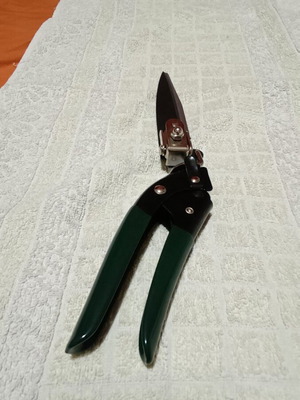 Ψαλίδι Χλόης μπορντούρας τριανταφυλλιών 34cm Καινούργιο