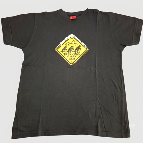 Perito Moreno Glacier Patagonia T-shirt used, sizes L and XL