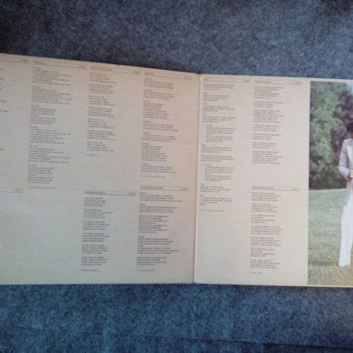 Julio Iglesias Hey! vinyl LP record used