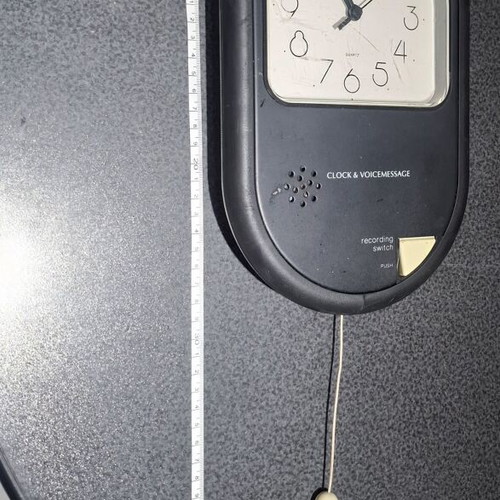 Twin Bird Clock & Voice Message wall clock like new, 1980s vintage