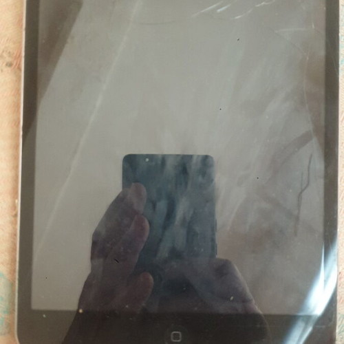 iPad Mini with SIM, cracked screen, partial touch functionality
