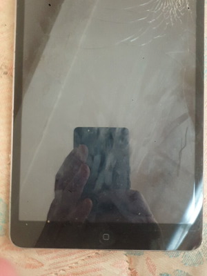 iPad Mini with SIM, cracked screen, partial touch functionality