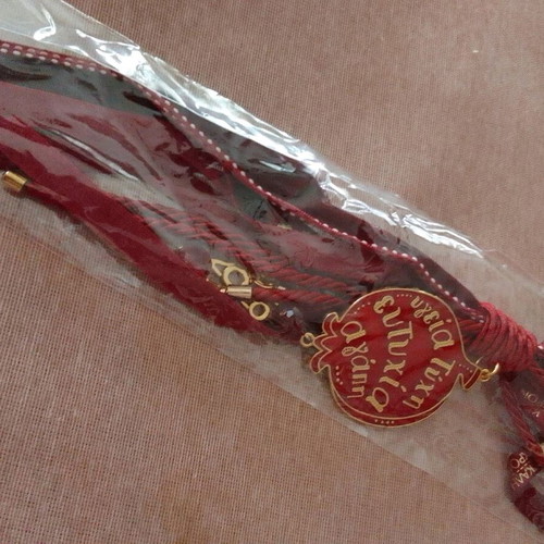 Hanging pomegranate charm 2026 new, red metal