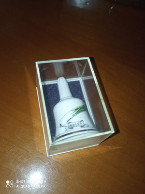 Birchcroft Wales porcelain bell with case, like new