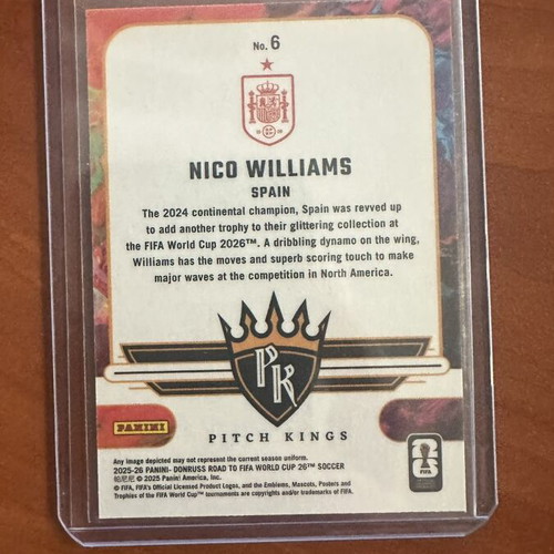 Panini Road to World Cup Nico Williams Pitch Kings card