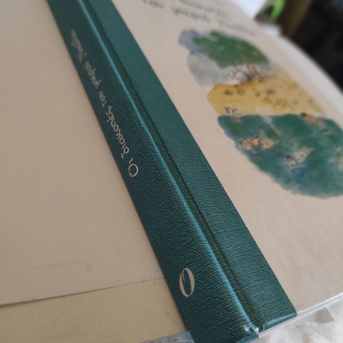 The Holidays of Little Nicolas children's book like new