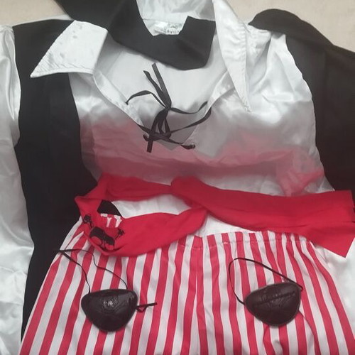Carnival costume like new