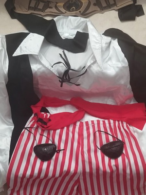 Carnival costume like new
