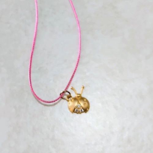 Minimalistic ladybug charm necklace elegant good luck new