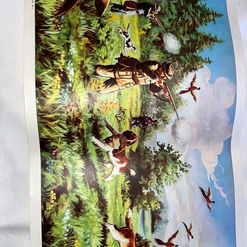 Vintage hunting posters 37x79 from year 73 new