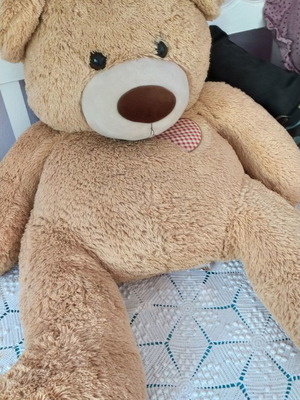 Teddy bear plush like new