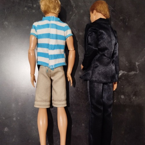 Barbie Ken dolls used, dreamhouses and princess school set