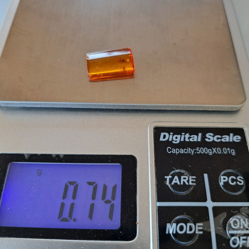 Processed square Baltic amber piece with insects, new