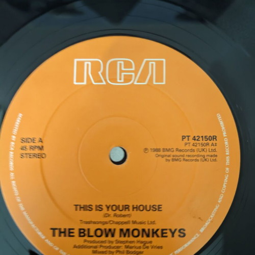 The Blow Monkeys This Is Your House album