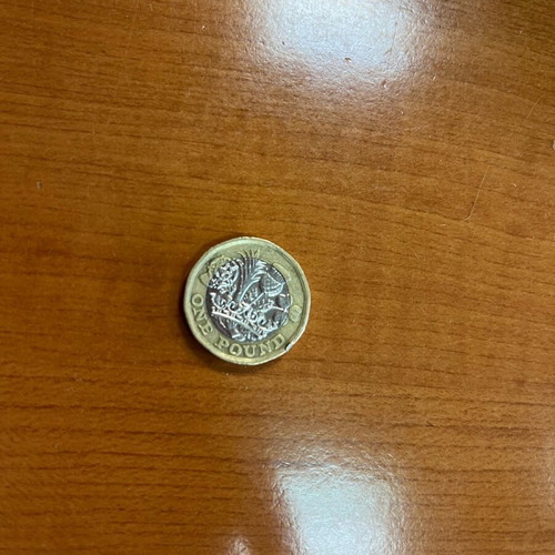 One Pound 2017 coin used