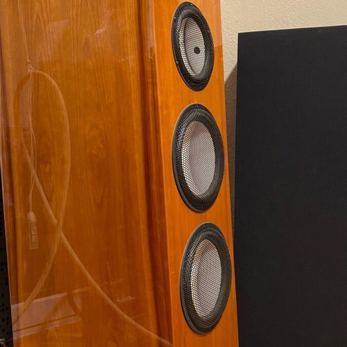 HiEnd Marten Bird speaker like new floor standing