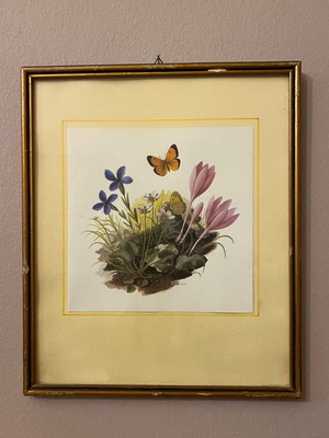 Frames used, set of 3 pieces 31x27 cm