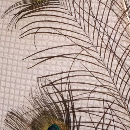 Set of 8 authentic peacock feathers like new, large and impressive