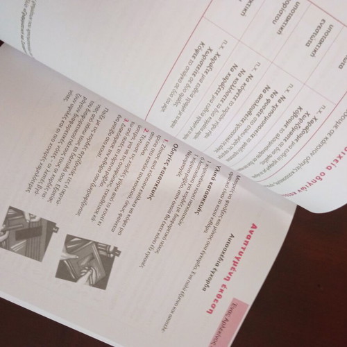 Essay Aid Fourth Grade like new, Greek