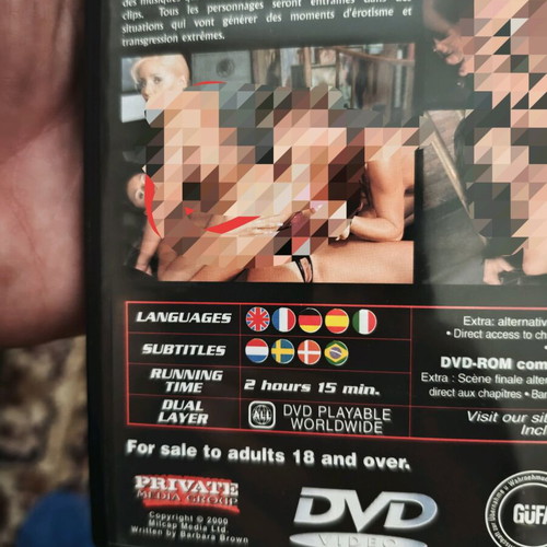 Devil in the Flesh erotic movie hard core DVD new with subtitles