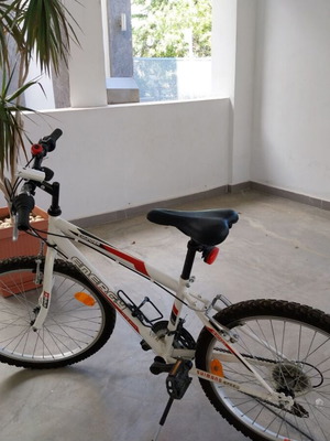 Energy Thunder 24'' Mountain Bike like new, red, with lights and stand