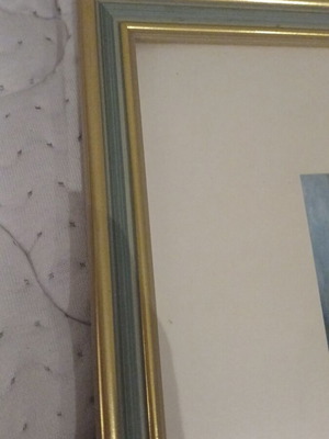 Framed Nature Watercolor Painting New, 0.45×0.35 m, Wooden Frame