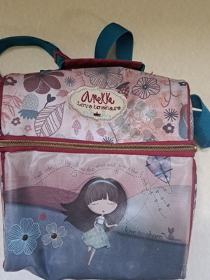 Anekke insulated lunch bag like new with straps for bottle