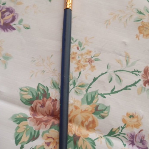 Paintbrush new with perfect shade