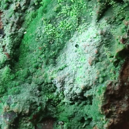 Conichalcite new, large and rich specimen from Lavrio