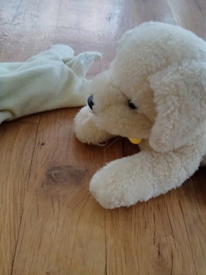 Κλινεξ σπάνια σκυλάκια μεταχειρισμένα, δώρο από χλωρίνη