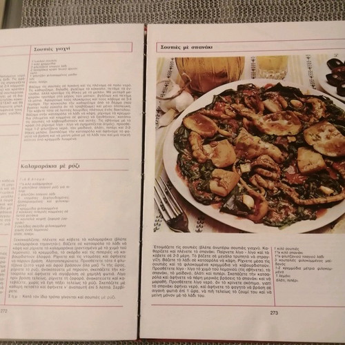 Cookbook The Greek Cuisine used by Sofia Skoura