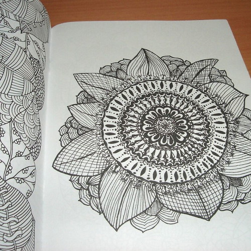 Anti-Stress Coloring Book for Children and Adults like new