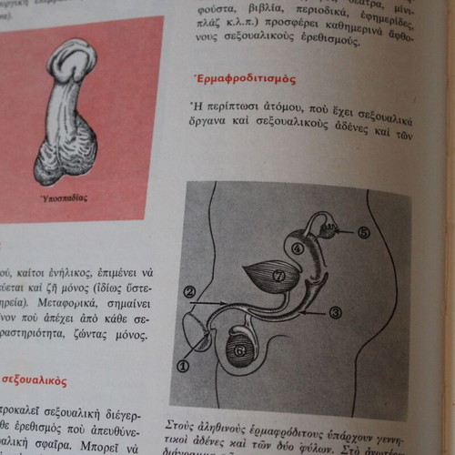 Dictionary of Human Anatomy 1963, new, Greek language